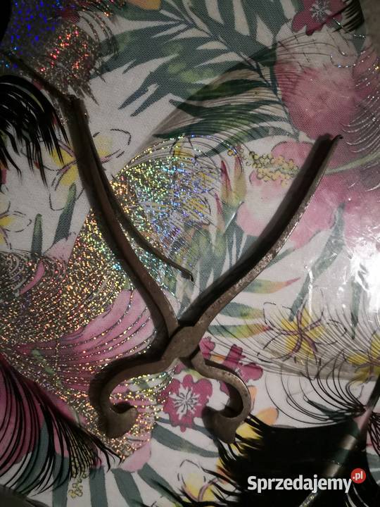 Antyczne Nożyce do Cukru Radom