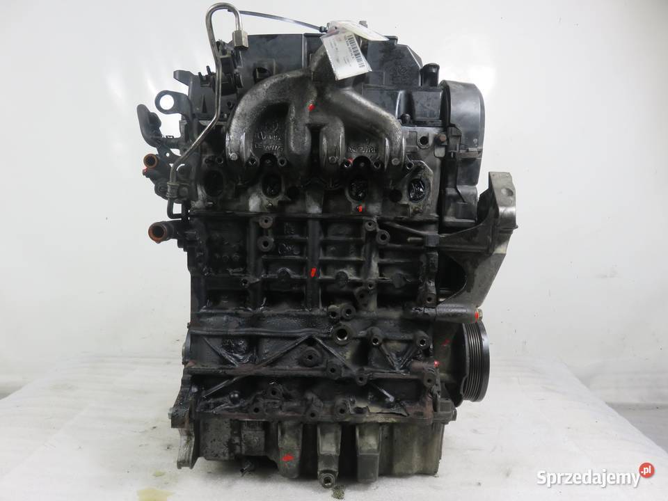 SILNIK VW CADDY III 19 TDI 105 BLS 038130073AG Części samochodowe