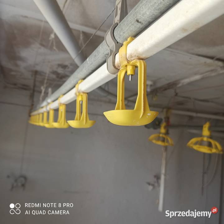 System pojenia drobiu kropelkowy firmy Roxell Sianów sprzedam