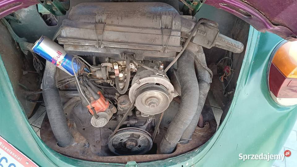 Garbus 12 boxer Inowrocław