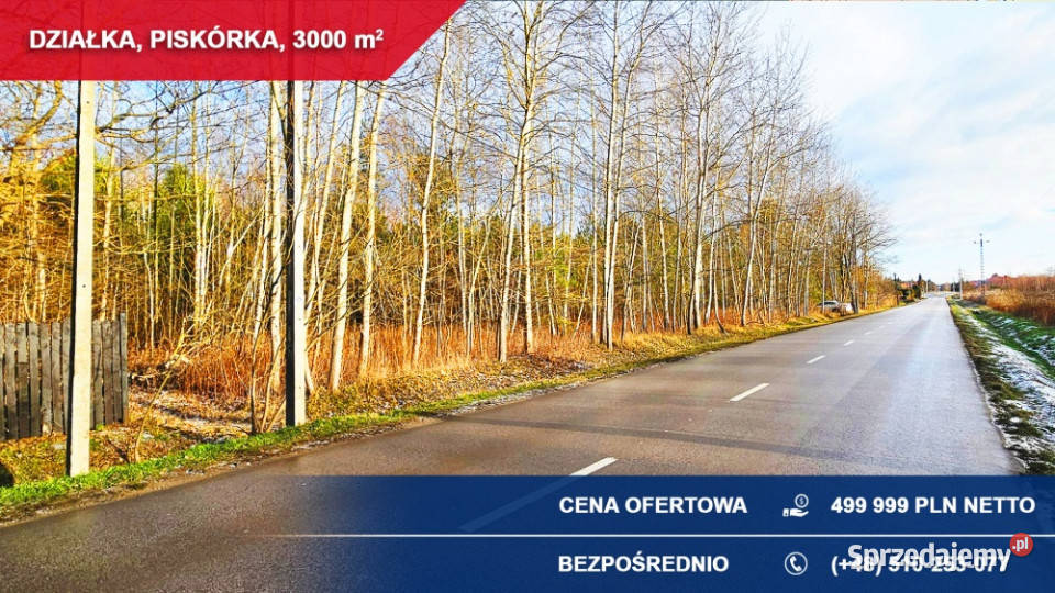 Działka budowlana 3000 m LESIE Piskórka gm