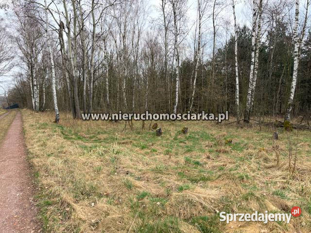 Sprzedam działka 10182m2 Wodzisław Śląski sprzedam