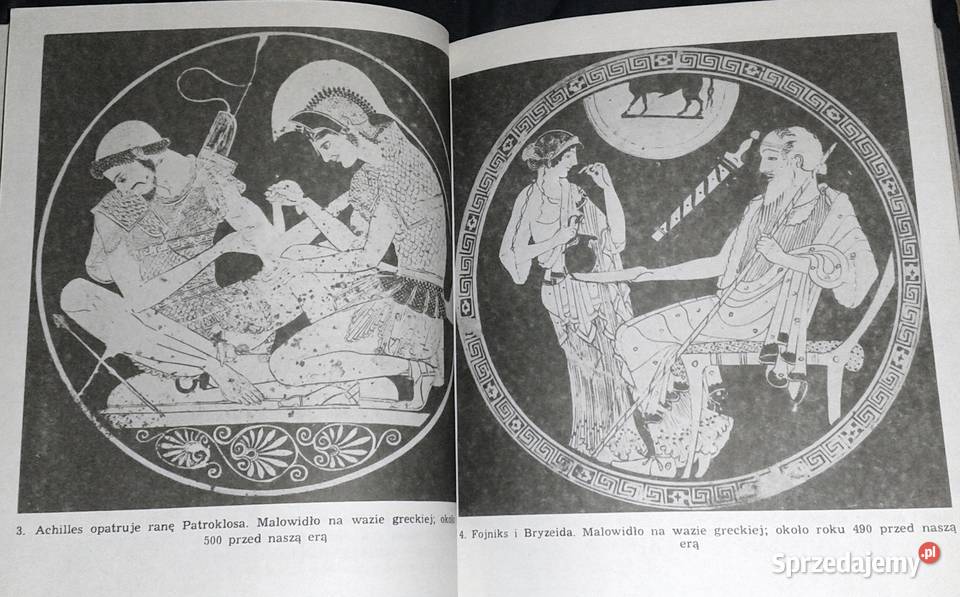 Wojna Trojańska Mit i historia Aleksander Rok wydania 1989 Chełm