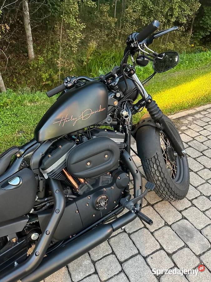 HarleyDavidson Iron 883 custom Suwaki