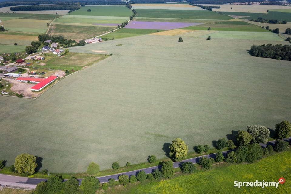 901 ha MPZP produkcja logistyka 1 S7 Białuty