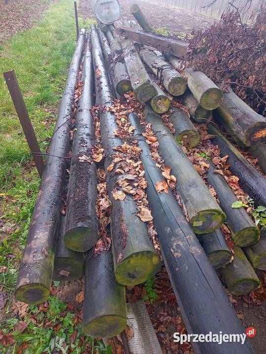 Słupy do chmielu Kąty