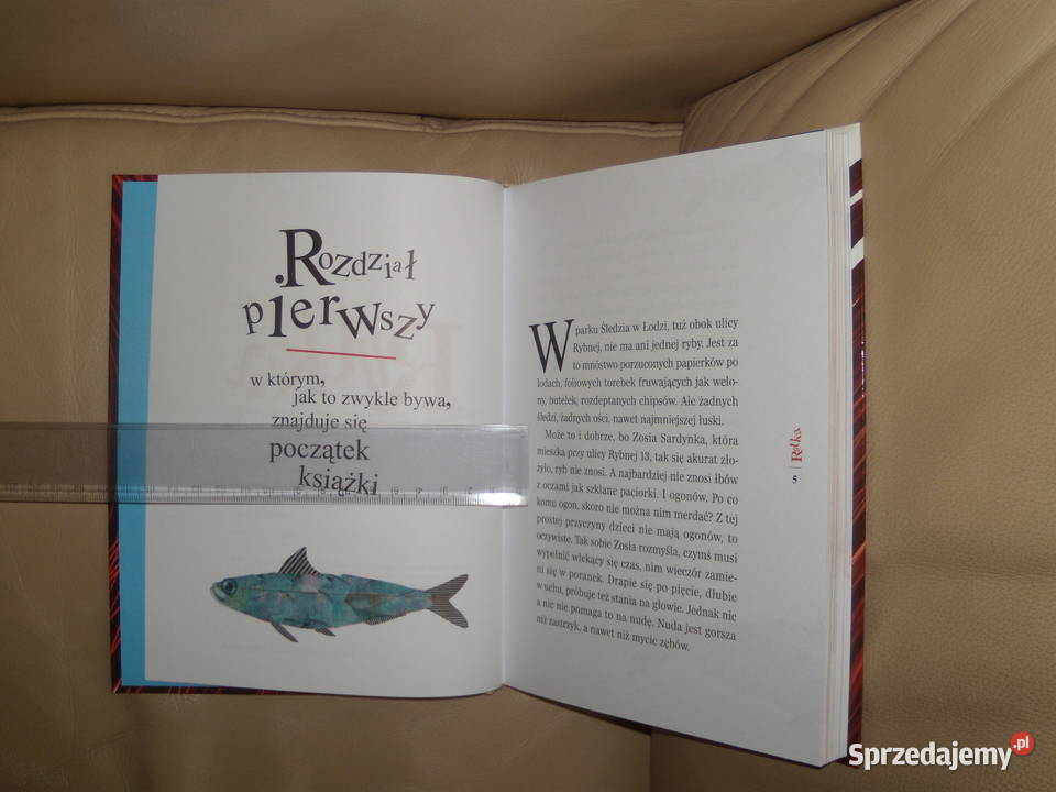 Rutka Joanna Fabicka Rok wydania 2016 Warszawa