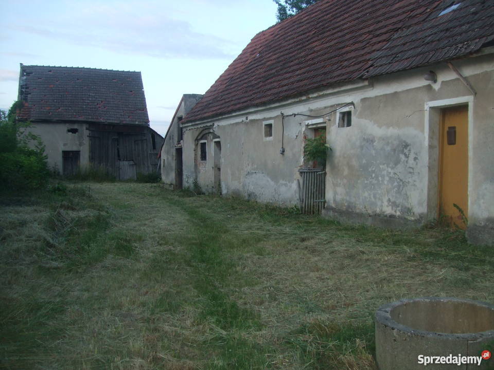 Dom działka 29 arów Czepielowice