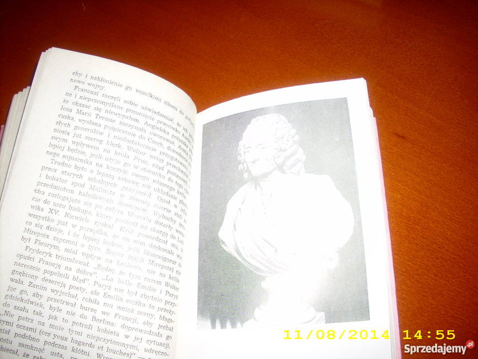 Wolter zakochany Nancy Mitford Rok wydania 1979 Goleniów