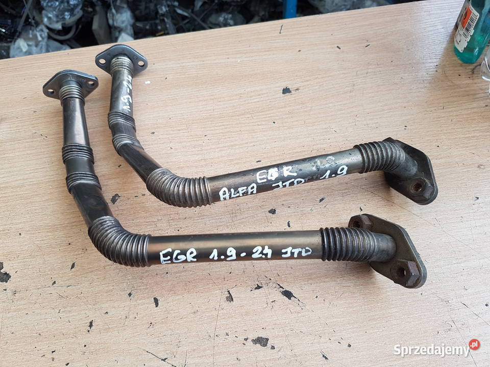 ALFA ROMEO FIAT 19 JTD 24 JTD RURKA SPALIN EGR wielkopolskie Turkowice