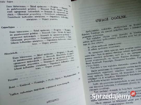 Żydowskie ugrupowania wywrotowe w Polsce Korsch