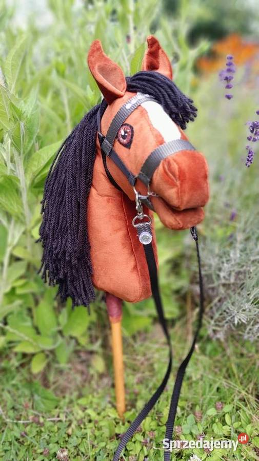 Konik hobby horse małopolskie Kraków