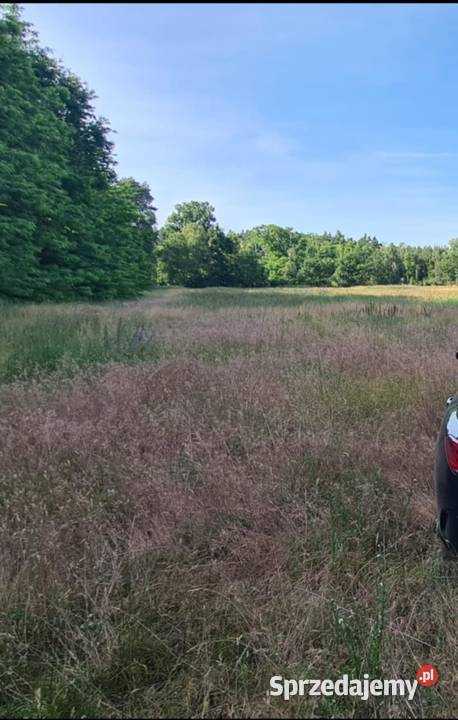 Działka budowlana 813m osiedle KONIN Stare wielkopolskie Zarzewek sprzedam