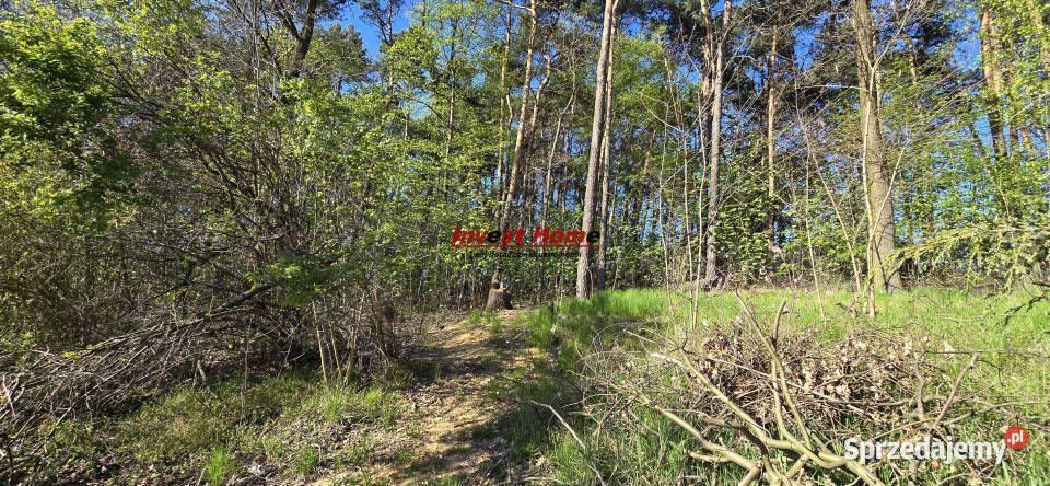 sprzedaży domu wolnostojącego 168m2 Jankowice asfalt śląskie