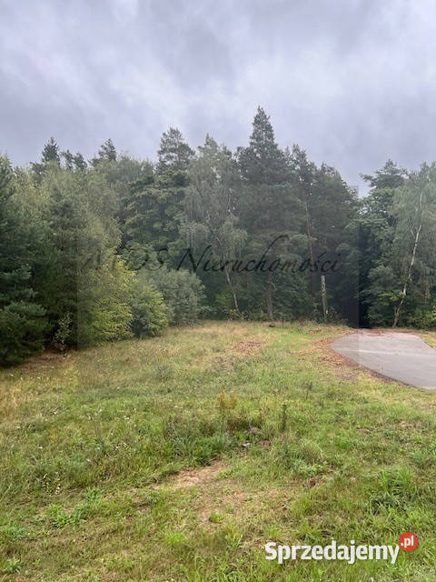 działka produkcja magazyny S 7 węzeł Powierż warmińsko-mazurskie Górowo sprzedam