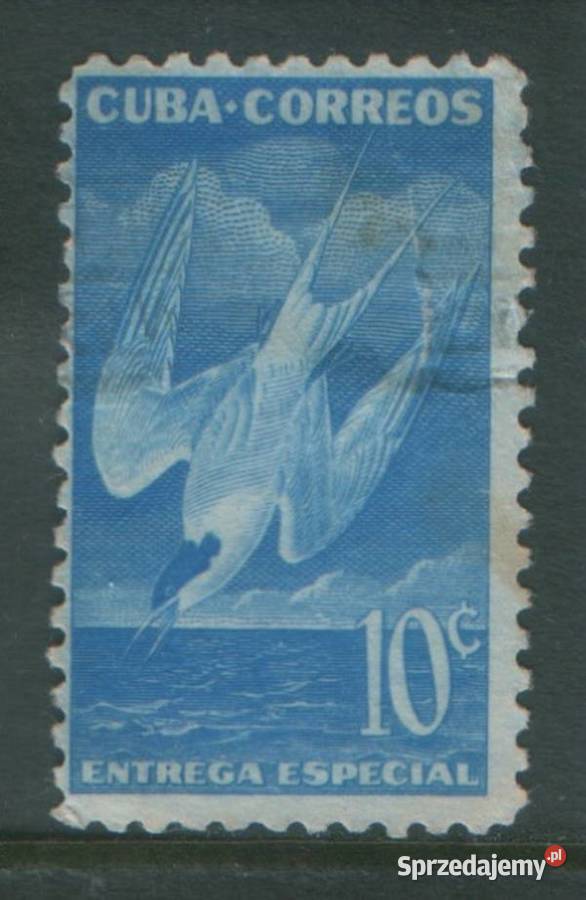 Zn Kuba Mi wykaz w opisie kas śląskie