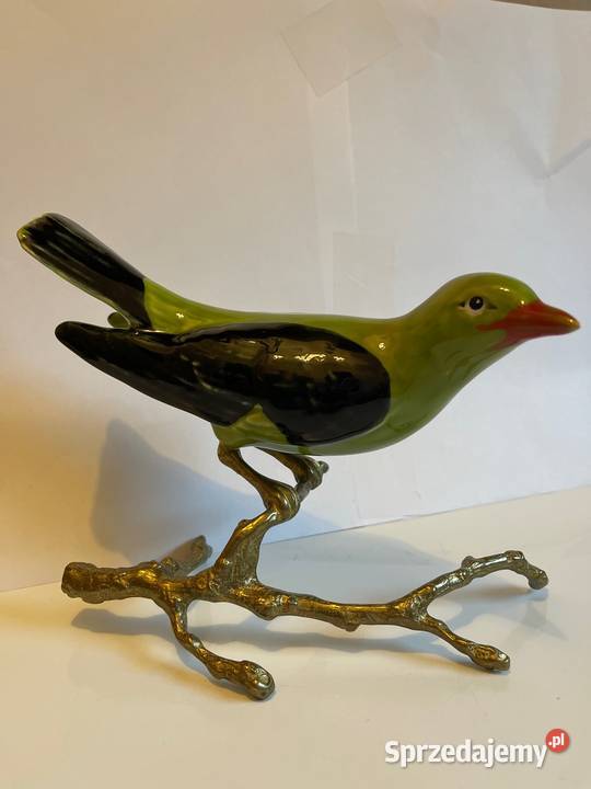 Wilga zielona Karenski Warszawa