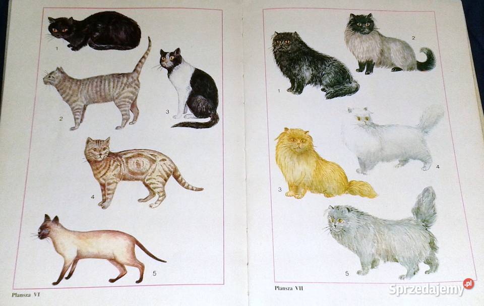 Nastolatki hodują rośliny i zwierzęta Mirosław Rok wydania 1990 Chełm