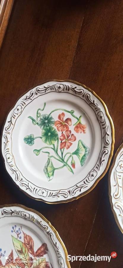 Talerzyk deserowy z ręcznie malowanymi dekorami Porcelana i szkło Gdańsk