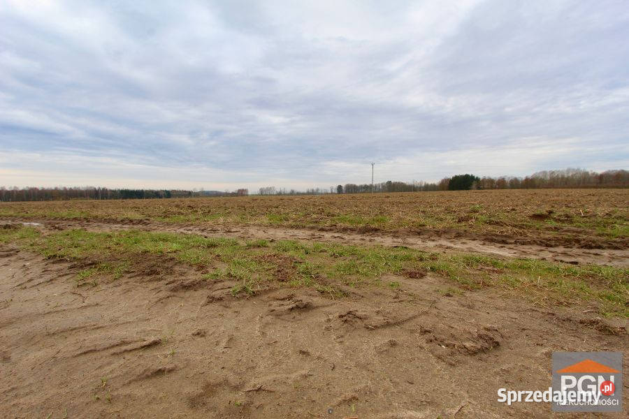 Grunt sprzedam Trzebiatów 3399m2
