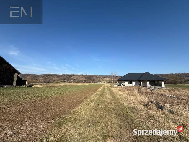 Grunt 3000m2 Godowa Nieruchomości