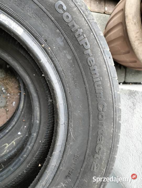 Opony letnie 1956515 Continental conti contact