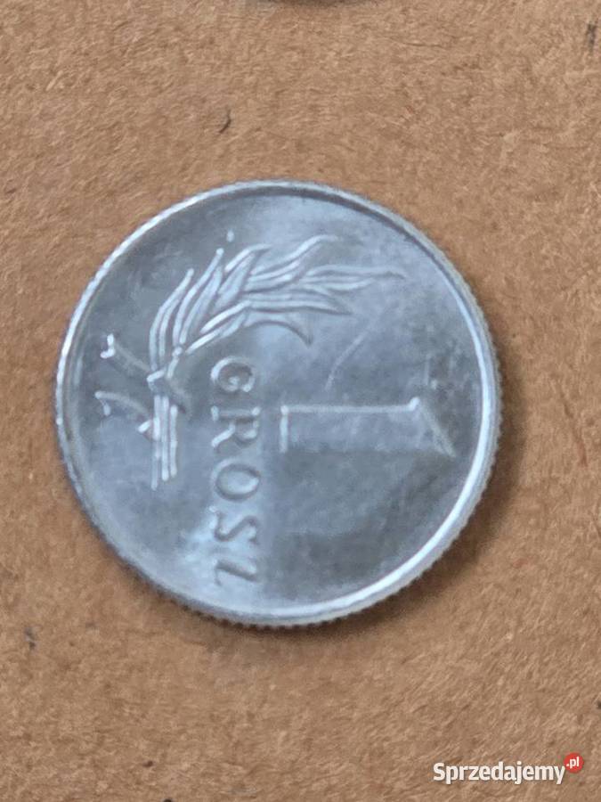 Moneta 1 grosz 3 sztuki z 1949r w doskonałym Busko-Zdrój