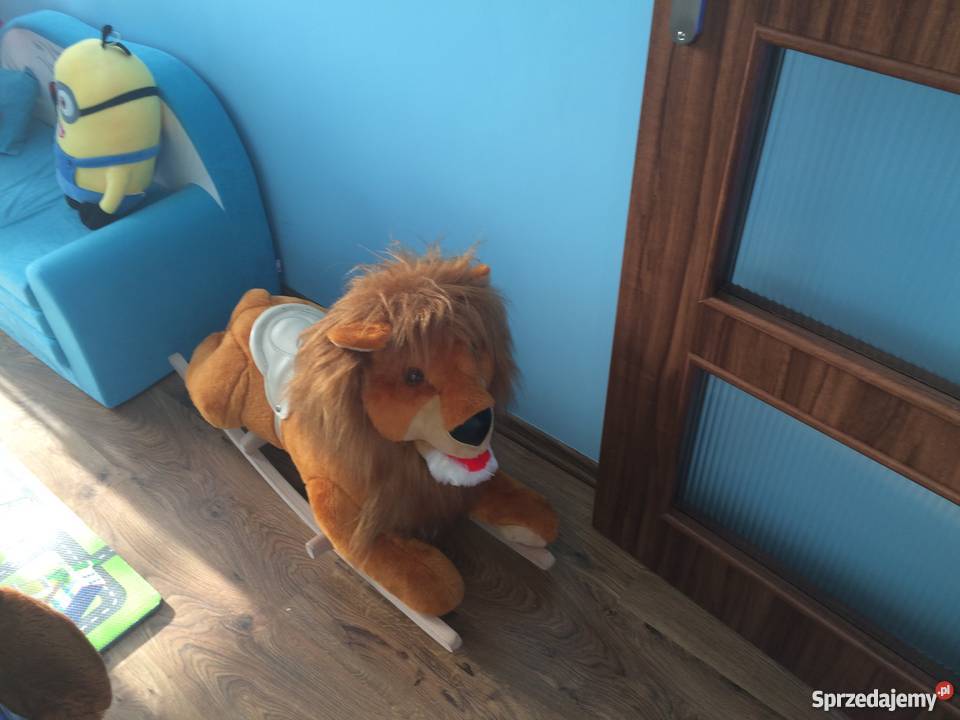 Lew na biegunach sprzedam