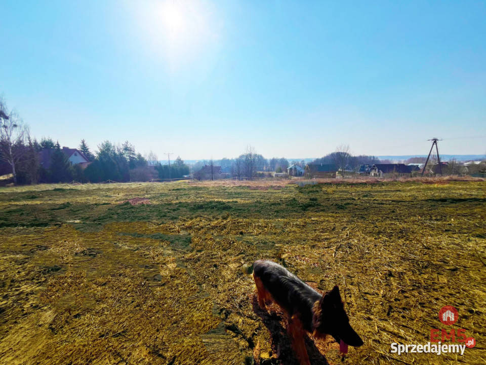 Działka Nowe Aleksandrowo 13000m2 podlaskie