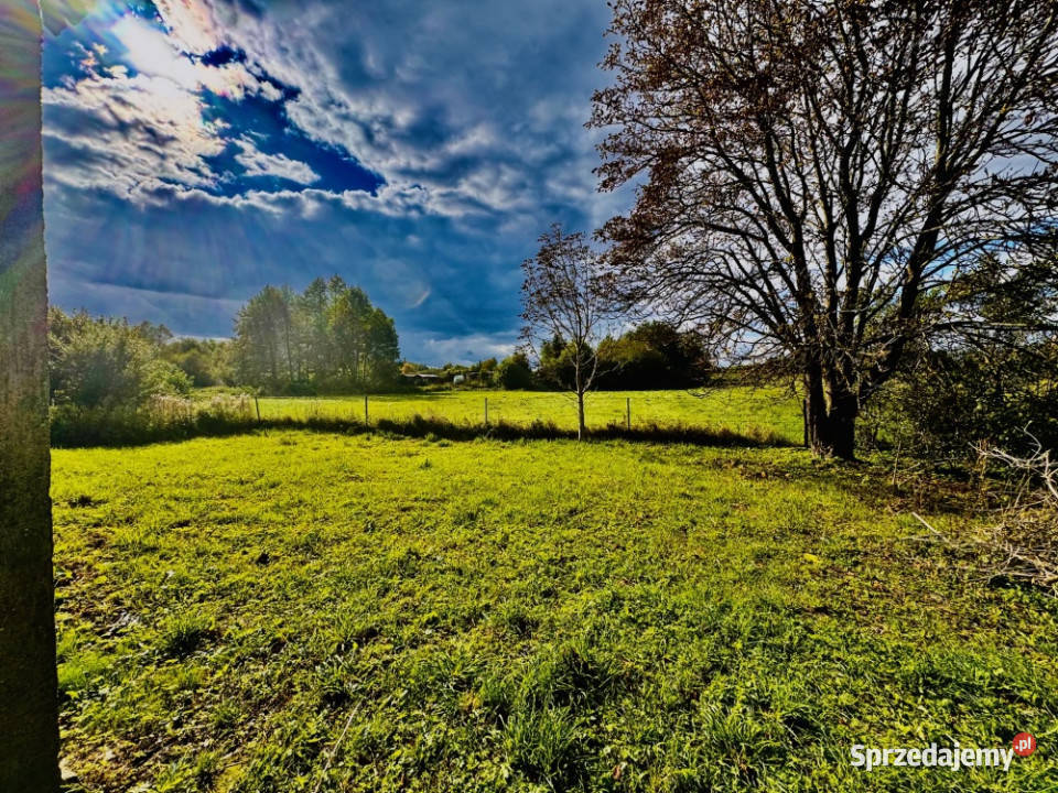 Działka 5400 m w Drygałach z domem i sprzedam
