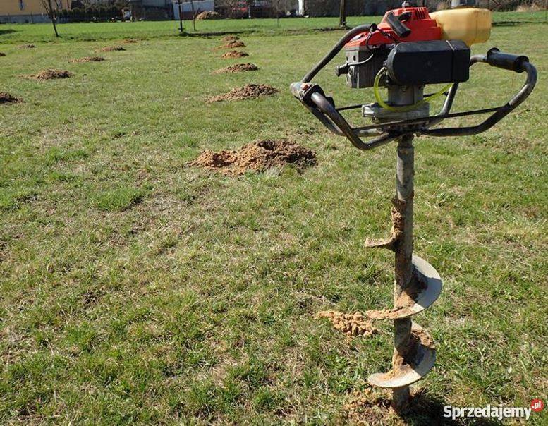 OXYTREE DRZEWA TLENOWE DO OGRODU I NA PLANTACJĘ Pozostałe Warszawa