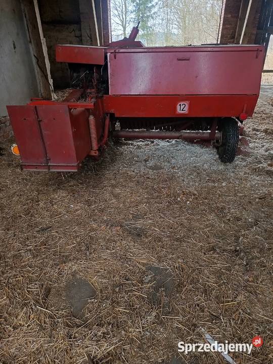 Sprzedam prase kostkującą Miedźna