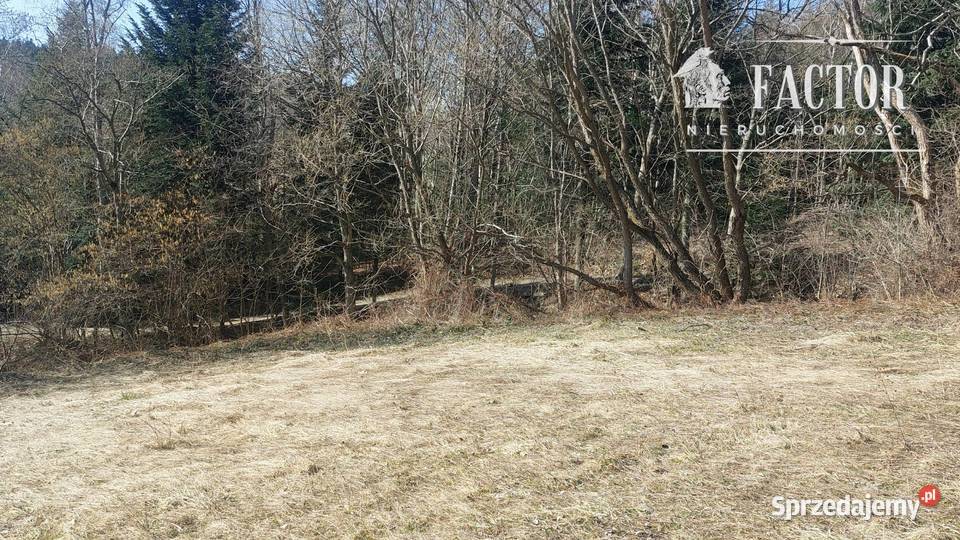 Widokowa działka budowlanorolna 1846 ara Bieśnik sprzedam