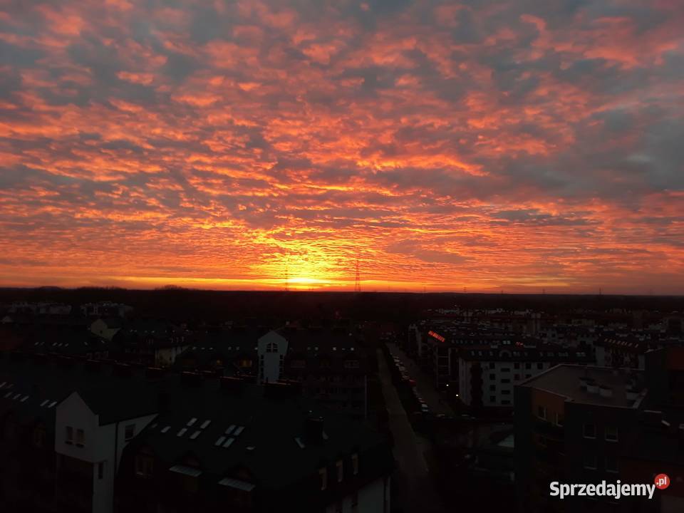 Wynajme atrakcyjną kawalerkę z dojazdem do sprzedam