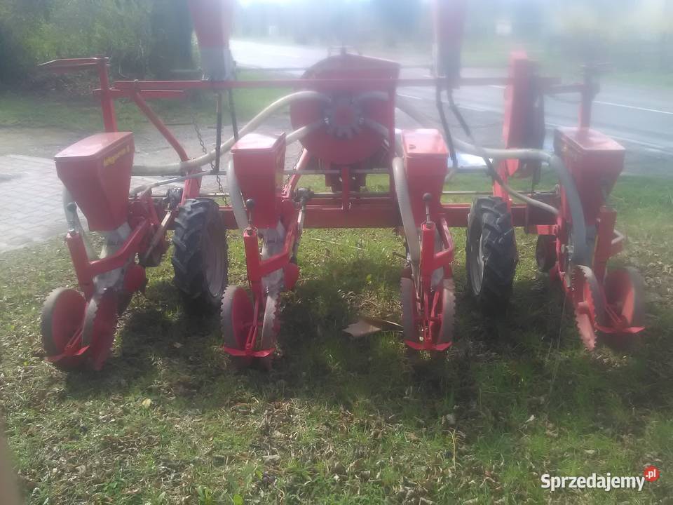 Siewnik do kukurydzy siewnik do soi Siewniki i sadzarki mazowieckie Lipsko