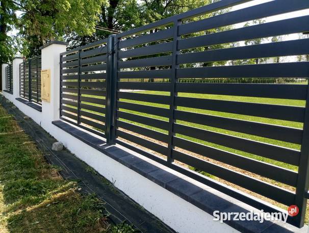 Przęsło ogrodzeniowe stal D 02 ocynkkolor Gorlice