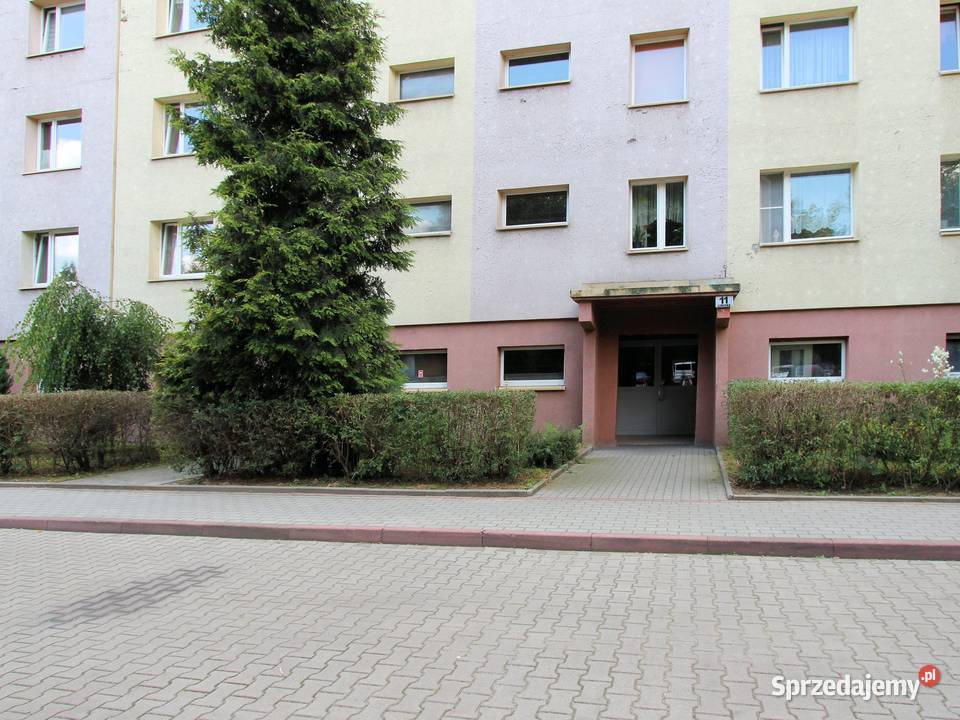 Mieszkanie na sprzedaż Katowice 485 m Piętro 7