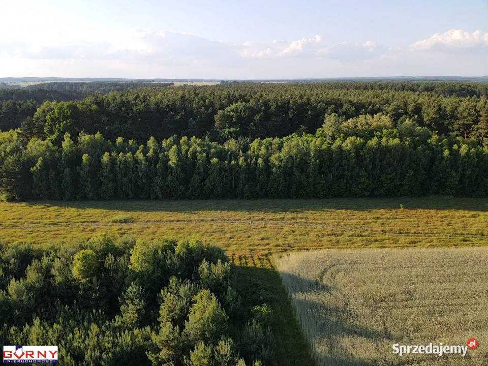 Sprzedam działka Bąkowa Góra 3327m2 18m Sprzedaż łódzkie