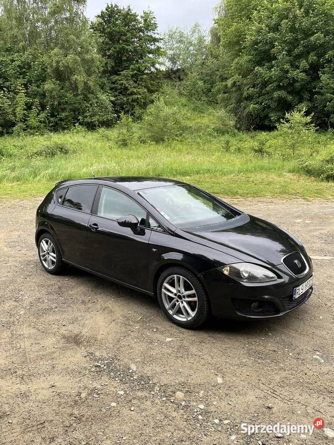 Seat Leon II nieuszkodzony Lesko