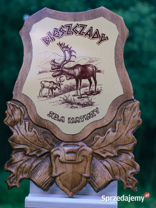 Bieszczadzkie pamiątki Rzeźbione deski Jasienica Rosielna sprzedam