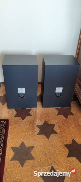 Kolumny BOSE 3000XL Sochocin sprzedam