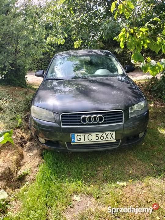 audi a3 2/3 Sztum