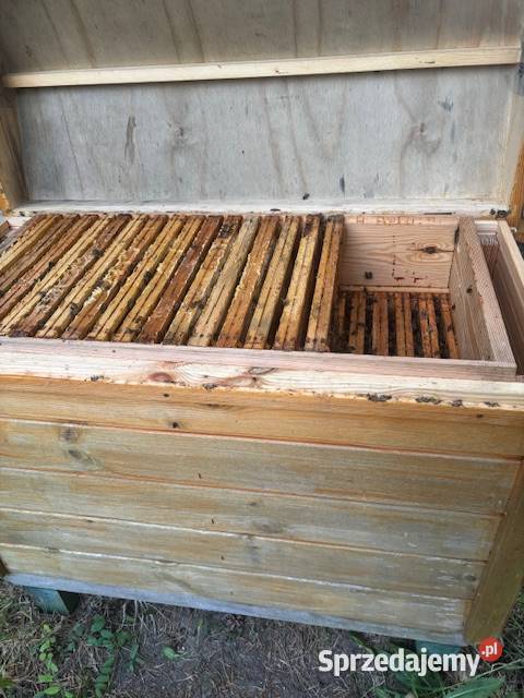 drewniany ule pszczoły Rodziny pszczele Chełm