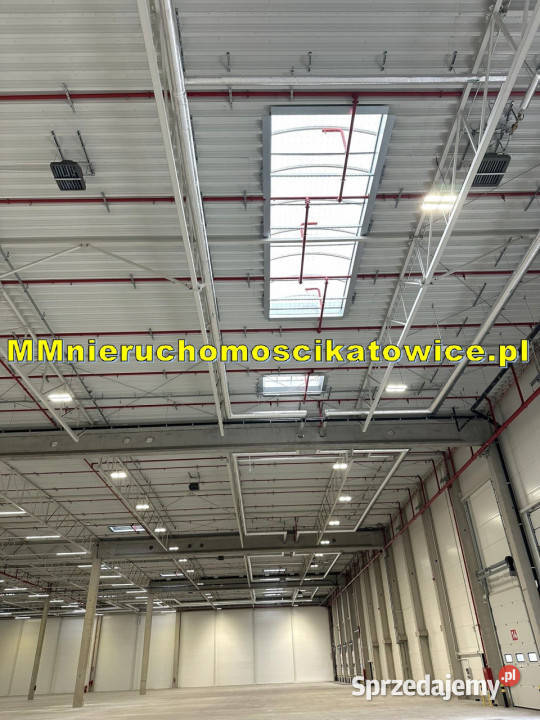 Halae do wynajęcia Katowice A4 śląskie