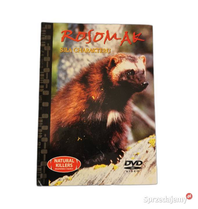 Film Dokumentalny Rosomak Siła Charakteru DVD lubelskie