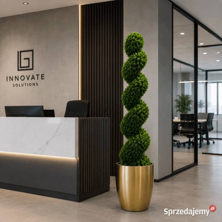Stylowy bukszpan w formie spirali 120 Golkowice