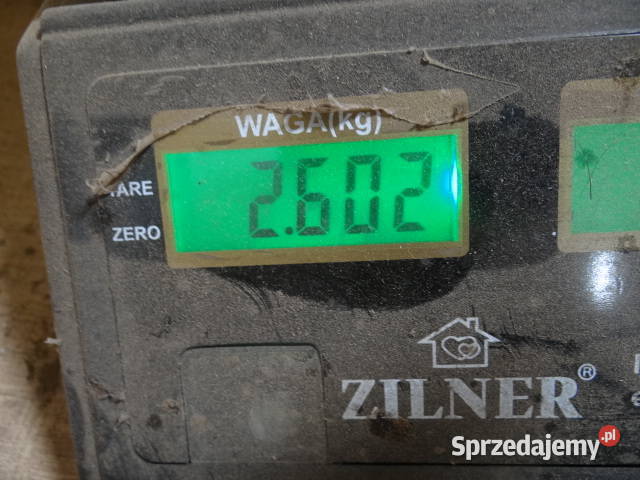 24 śruby ESKA 88 5mm do 10mm MZ Simson org DDR Żary