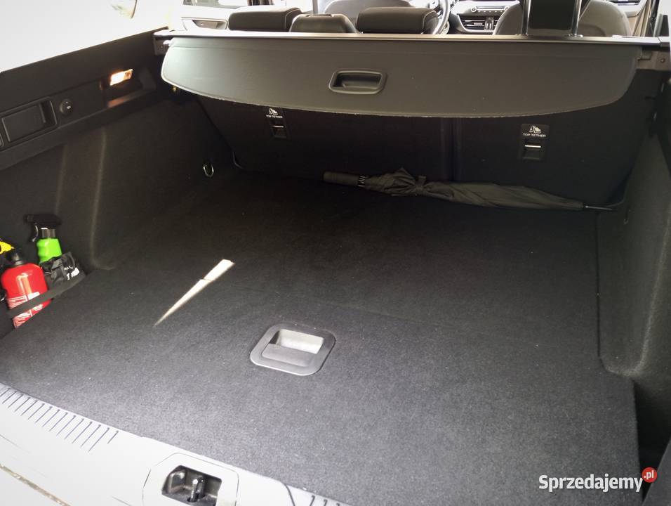 Ford focus 2021 serwisowany 100KM Pólko