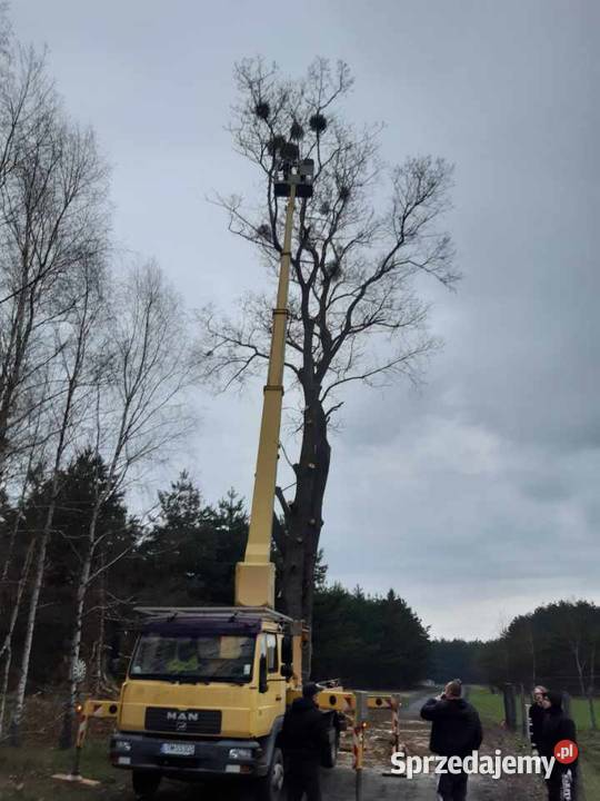 Usługi wysokościowe wycinka drzew podnośnik Remont i budowa Tomaszów Lubelski