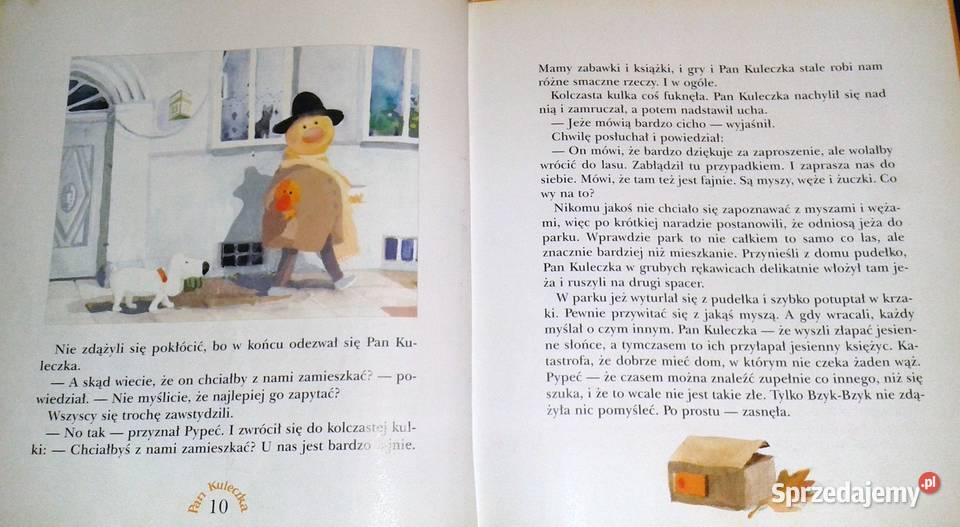 Pan Kuleczka 4 książki Wojciech Widłak